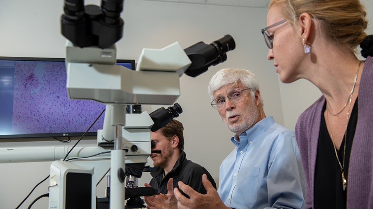 Three people working with microscopes in a lab, viewing a tissue sample image on a monitor.